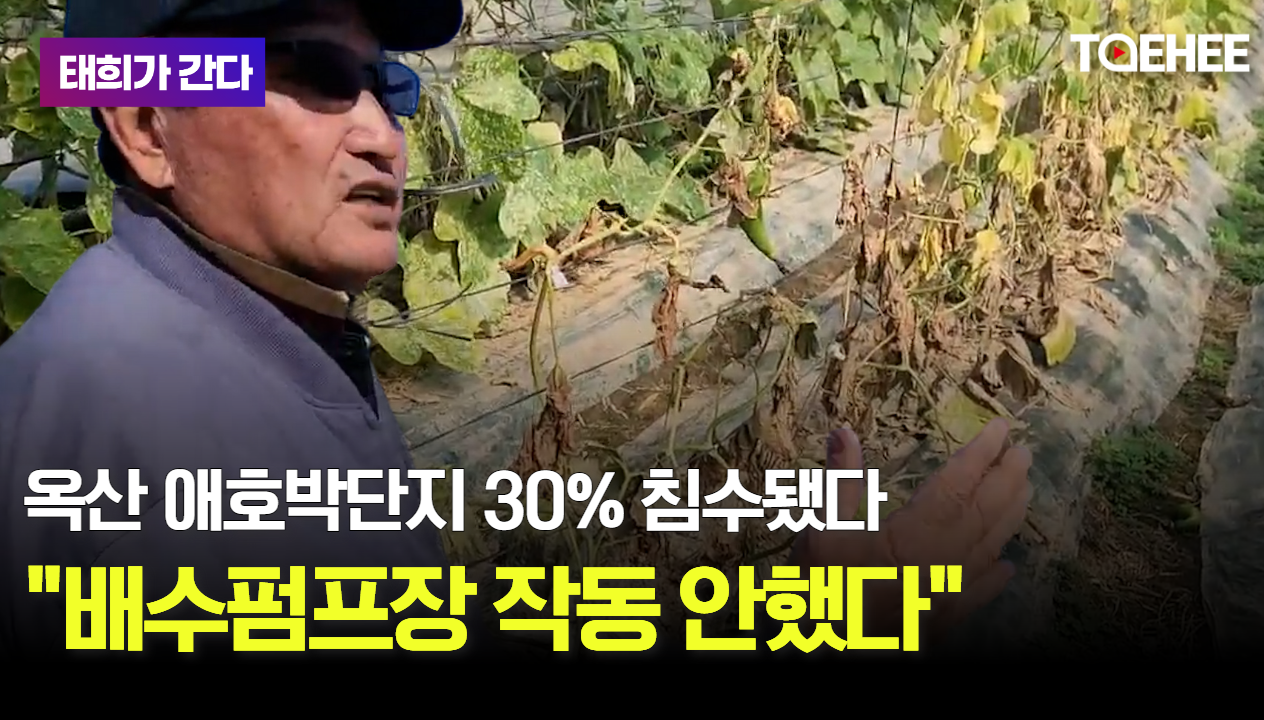 태희가간다 | 옥산 애호박단지 30% 침수됐다 &quot;배수펌프장 작동 안했다&quot;