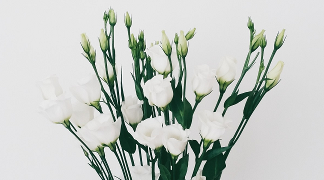 [부고] 변종오씨(충북도의원) 모친상